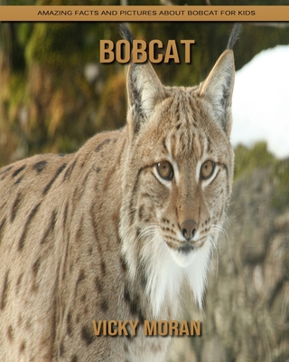 Bobcat: Amazing Facts and Pictures about Bobcat for Kids