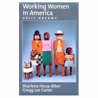Working Women in America: Split Dreams 0195110250 Book Cover