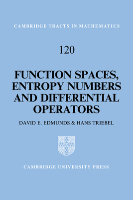 Function Spaces, Entropy Numbers, Differential ... 0521560365 Book Cover
