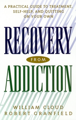 Recovery from Addiction: A Practical Guide to T... 0814716075 Book Cover