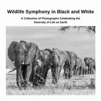 Wildlife Symphony in Black and White: A Collect... 1447822463 Book Cover