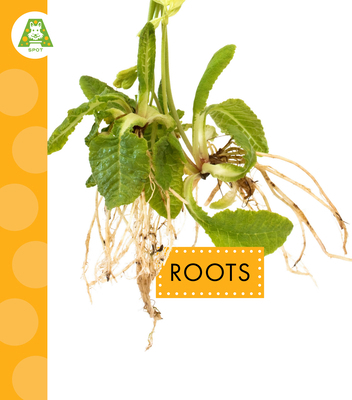 Roots B0H8ZZ85YT Book Cover