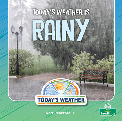 Today's Weather Is Rainy 1039892922 Book Cover