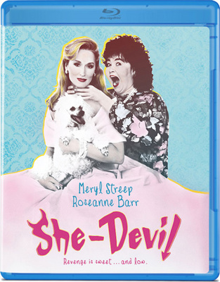 She-Devil            Book Cover