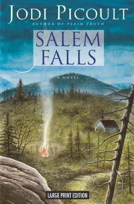 Salem Falls [Large Print] 0743421590 Book Cover