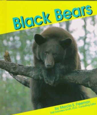 Black Bears 0736800964 Book Cover