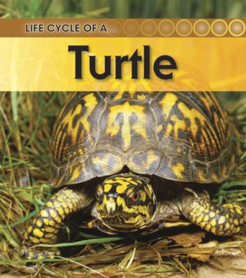 Turtle 1432925490 Book Cover