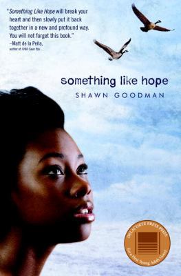 Something Like Hope 0385907869 Book Cover