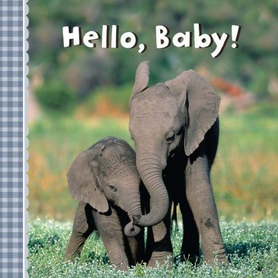 Hello, Baby! 1454923172 Book Cover