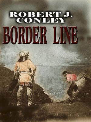 Border Line [Large Print] 078624299X Book Cover