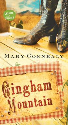 Gingham Mountain 1624167268 Book Cover