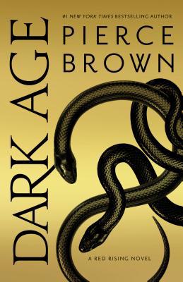 Dark Age [Large Print] 1432859994 Book Cover