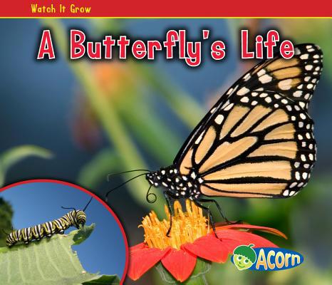A Butterfly's Life 1432941380 Book Cover