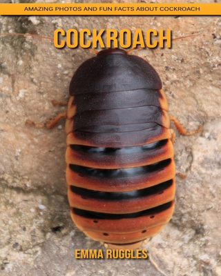 Cockroach: Amazing Photos and Fun Facts about Cockroach