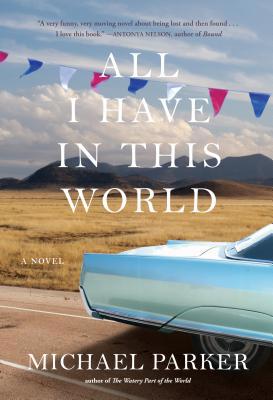 All I Have in This World 1616204486 Book Cover
