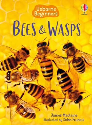 Bees & Wasps. Author, James MacLaine B01BITBLYK Book Cover