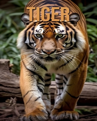 Tiger: Learn About Tiger and Enjoy Amazing Fact... B0DLFK1LY1 Book Cover