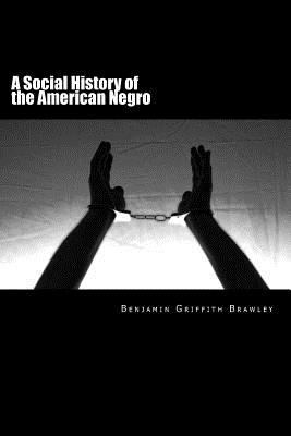 A Social History of the American Negro 1981625291 Book Cover