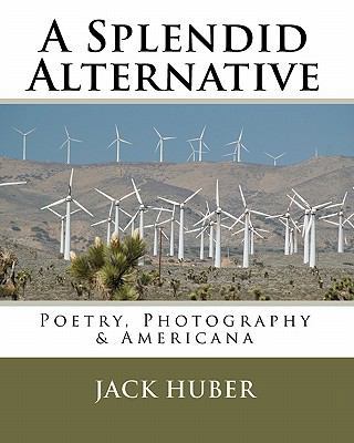 A Splendid Alternative 1442150963 Book Cover