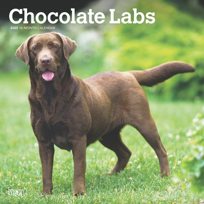 Chocolate Labrador Retrievers 2025 12 X 24 Inch... 1975477359 Book Cover