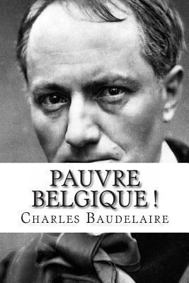 Pauvre Belgique [French] 2930718099 Book Cover