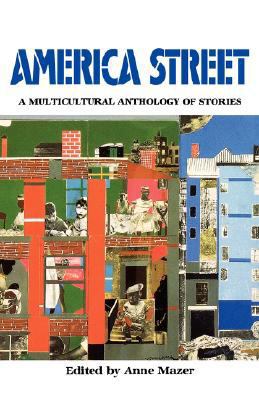 America Street: A Multicultural Anthology of St... 0892551909 Book Cover