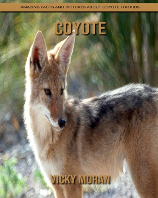 Coyote: Amazing Facts and Pictures about Coyote for Kids