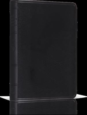 ESV Pocket New Testament with Psalms and Proverbs 1433502763 Book Cover