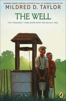 The Well: David's Story 0780787234 Book Cover