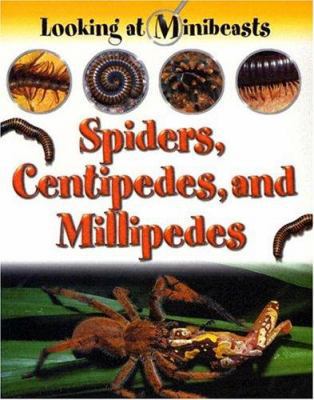 Spiders, Centipedes, and Millipedes 1593890389 Book Cover