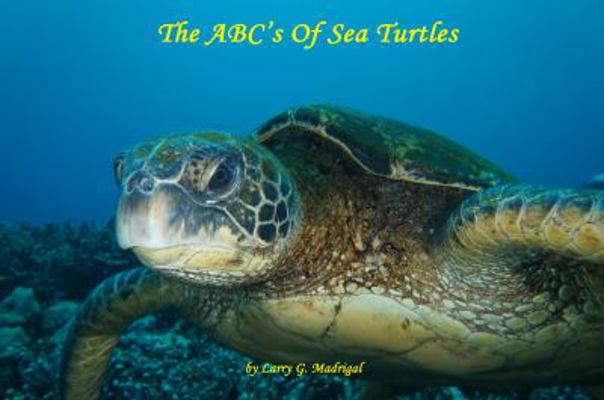 Paperback The Turtles Book