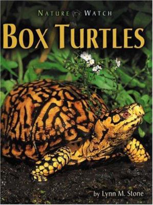Box Turtles B007ER3PMM Book Cover