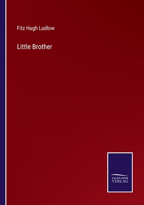 Little Brother 3752572825 Book Cover