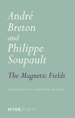 The Magnetic Fields 1681374609 Book Cover