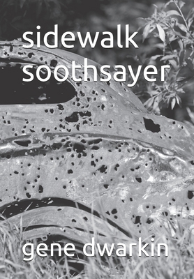 sidewalk soothsayer B0C1J5GS3T Book Cover