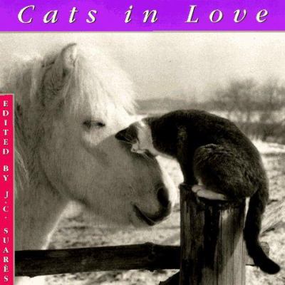 Cats in Love 1556705077 Book Cover