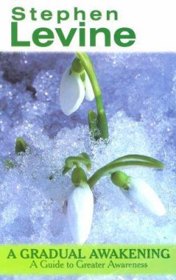 A Gradual Awakening 0946551901 Book Cover