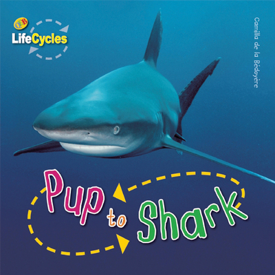 Pup to Shark 1595667393 Book Cover