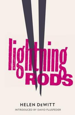 Lightning Rods. Helen DeWitt 1908276118 Book Cover