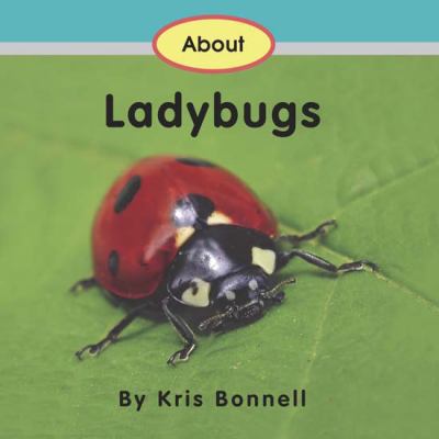 About Ladybugs