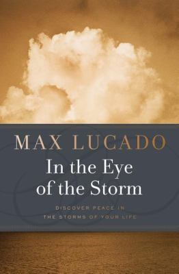 In the Eye of the Storm 084994628X Book Cover