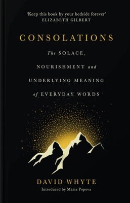 Consolations: The Solace, Nourishment and Under... 1932887369 Book Cover