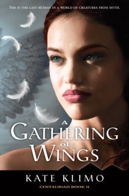 A Gathering of Wings 0375969764 Book Cover