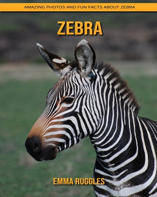 Zebra: Amazing Photos and Fun Facts about Zebra