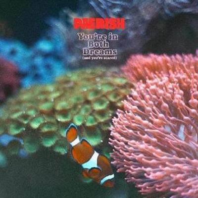 You're In Both Dreams (And You're Scared B0C3ZMXQ2J Book Cover