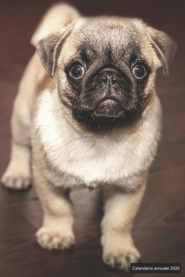 Calendario annuale 2020: &#9830; Manuale dell'o... [Italian] 1698807139 Book Cover