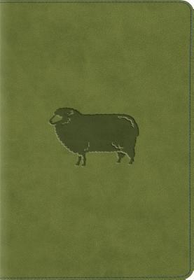 Kid's Compact Bible-Green Pastures 1433545829 Book Cover