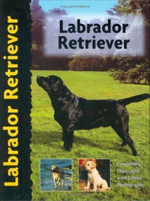 Labrador Retriever (Pet Love) B00CO4SH0U Book Cover
