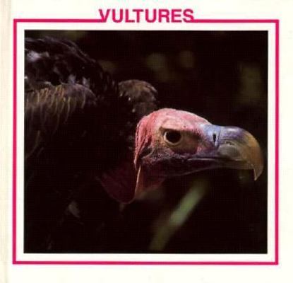 Vultures 0865923248 Book Cover