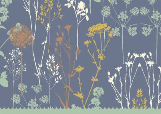 Note Card Twilight Garden 1593592787 Book Cover